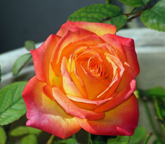 Madeleine photo mad2013_09240014_zpsb2aedb74.jpg